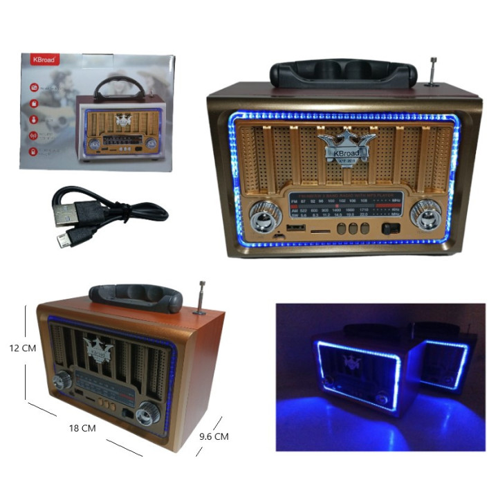 RADIO VINTAGE FM,USB,TF CARD RECARGABLE